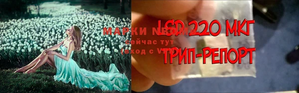 мяу мяу мука Нефтегорск