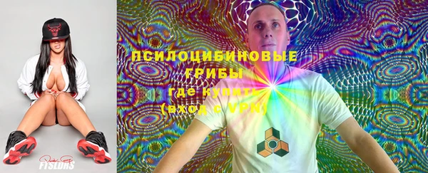 прущая мука Абаза