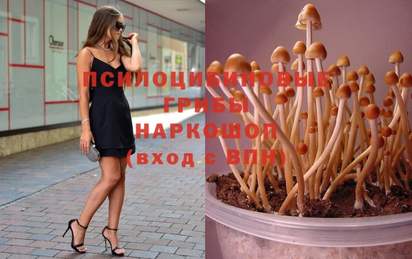 марки lsd Алзамай