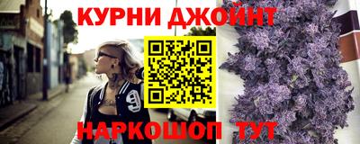 гашик Моздок