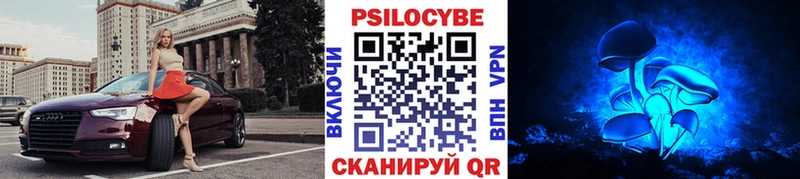 ОМГ ОМГ сайт  Грозный  Псилоцибиновые грибы Psilocybine cubensis 