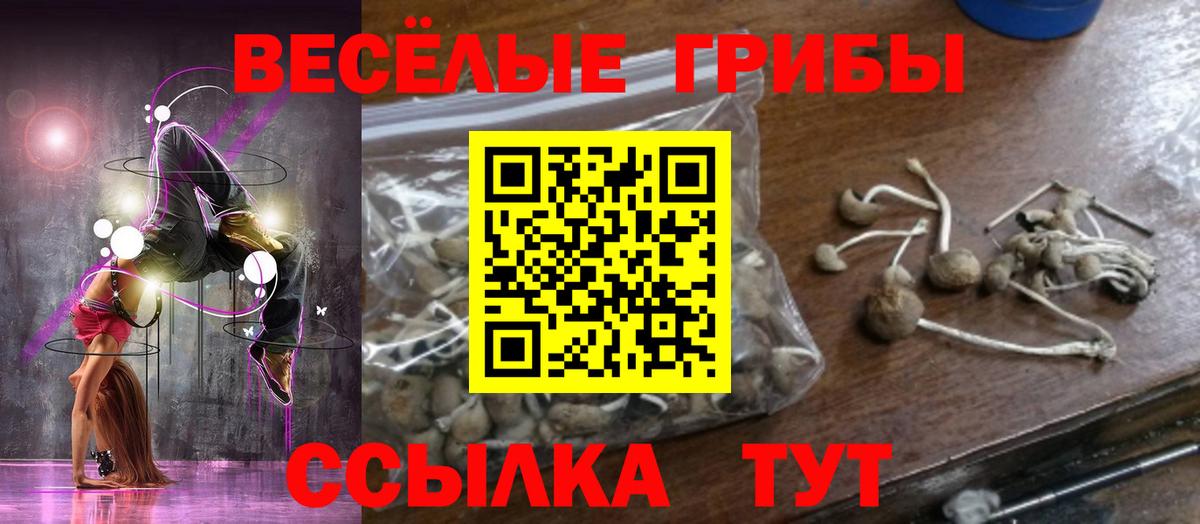 Псилоцибиновые грибы мухоморы  Вход с VPN  закладки  Грозный 